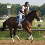 Midlantic-breds on Kentucky Oaks day