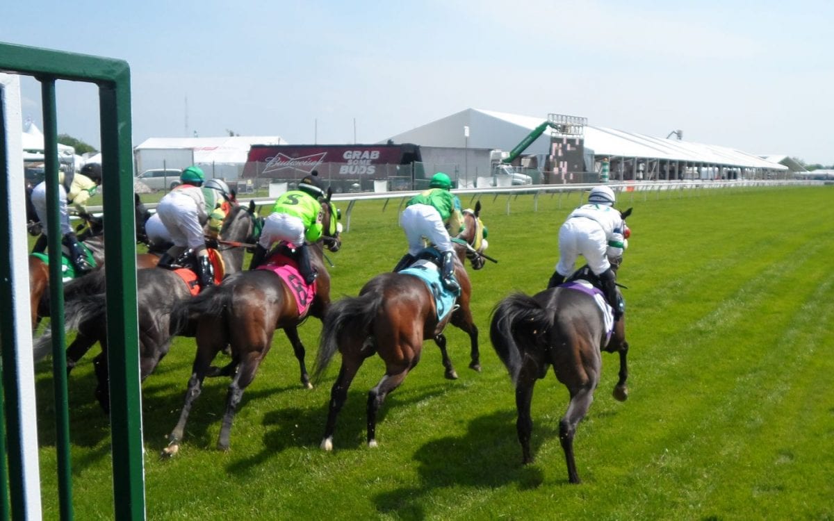 Unsung: Assistant Preakness starter aims to comfort skittish horses