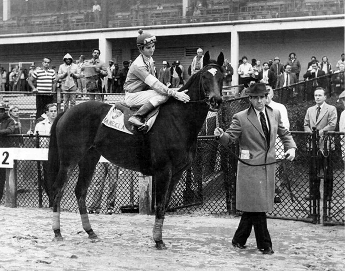 Maryland Thoroughbred Hall of Fame Inductees: Jameela and Jay Trump