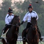 Dr. Tom Bowman joins Heritage Stallions