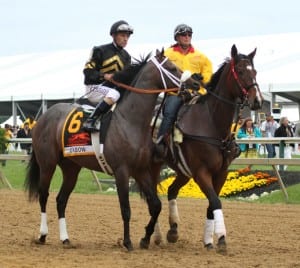 Oxbow, and Gary Stevens' game face.  Photo by Laurie Asseo.