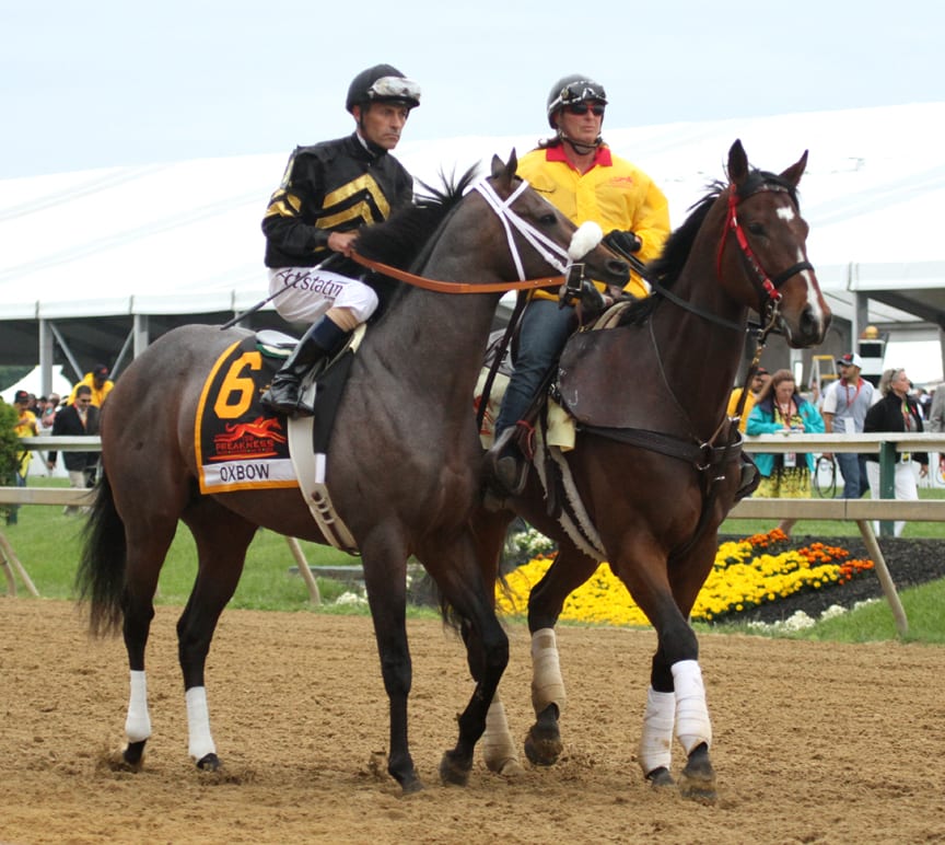 Gary Stevens will pass on Pimlico Jockey Challenge