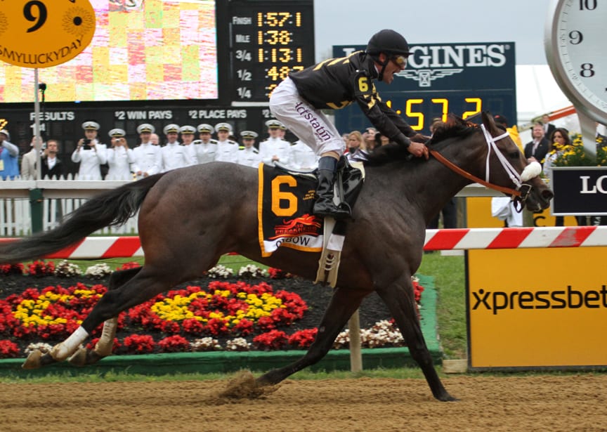 Xpressbet to offer $25k Preakness bet