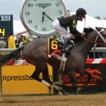 Immortal Eyes set to return for nine year-old season