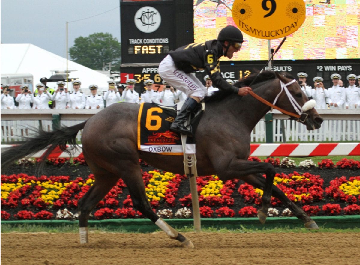 Preakness day in pictures