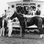 For retired Thoroughbreds, money and soundness are keys to second act