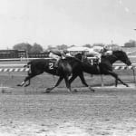 Herbicide-sprayed road to Louisville may impact Virginia Derby