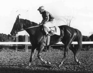 Vertex, said one writer, had no rival "on the morning side of the Rocky Mountains."  Photo from Maryland Thoroughbred Hall of Fame.