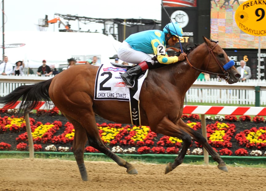 Zee Bros dominated the 2013 Chick Lang Stakes at Pimlico. Photo by Laurie Asseo.