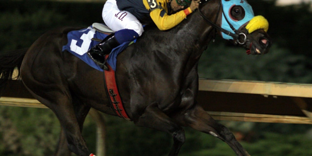 Claimbox: Midlantic claiming leaders for week ending June 10