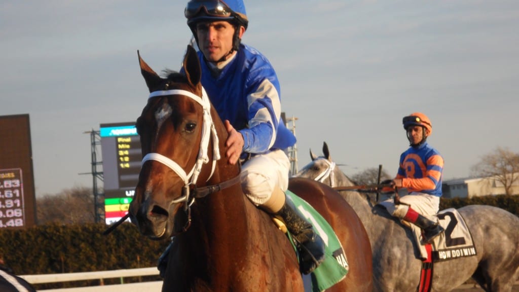 Ramon Dominguez, aboard Alpha, wins the 2012 Count Fleet. Photo by Teresa Genaro.