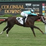 Knicks Go named Maryland-bred Horse of the Year