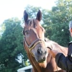 Pennsylvania racing industry fights — again — to retain full share of slots revenues