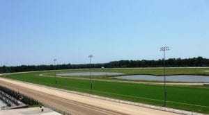 Colonial's turf course is looking good as the opening of the meet nears.  Photo by Nick Hahn.