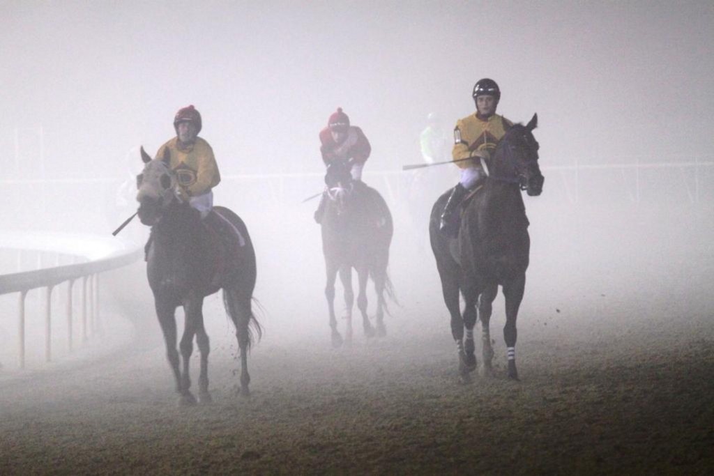 Horses emerge from the fog on opening night 2013 at Colonial Downs. Photo by Nick Hahn.