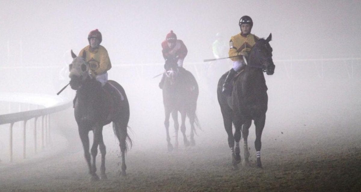 VRC chief Bernie Hettel to step down