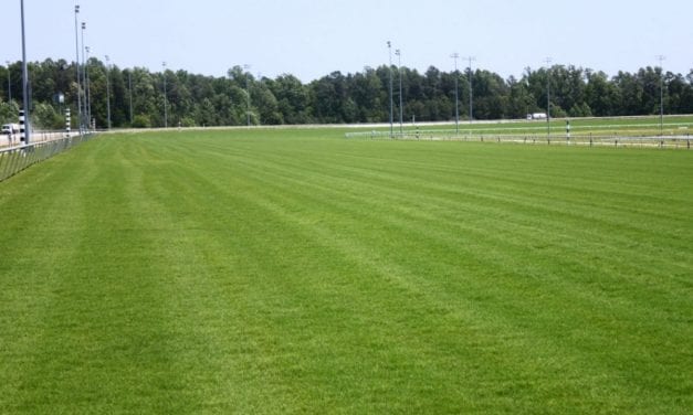 At Colonial Downs, both turf and horses coming in nicely