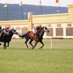 Travis Stone set to become Monmouth Park announcer