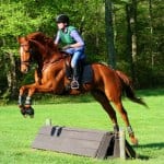 1/ST, NYRA enter content distribution agreement