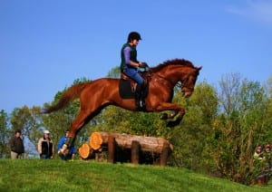 Rock N' Bid's enjoying his new job.  Photo by Katherine Turnbull.