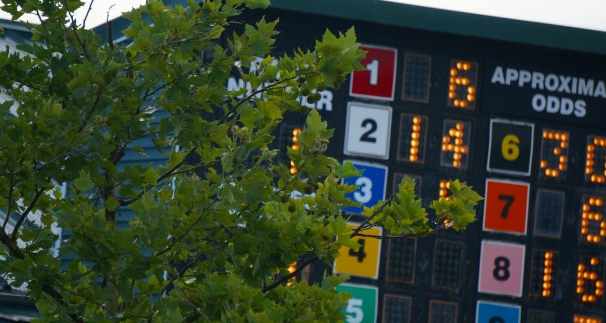 Handle dips at the Maryland Jockey Club