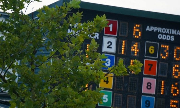 Wagering handle flat despite fewer racedays