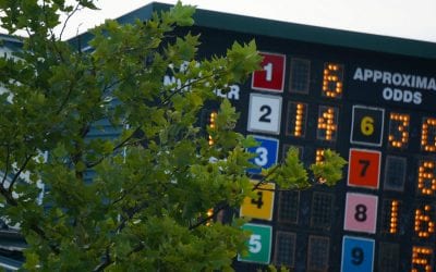 “All others” leads second Kentucky Derby futures pool