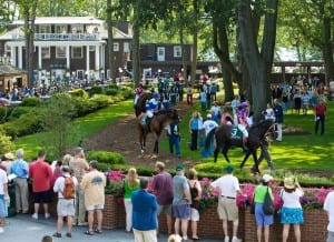 Crowded paddock.  Photo by Vas.