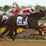 Maryland Jockey Club announces revised winter schedule