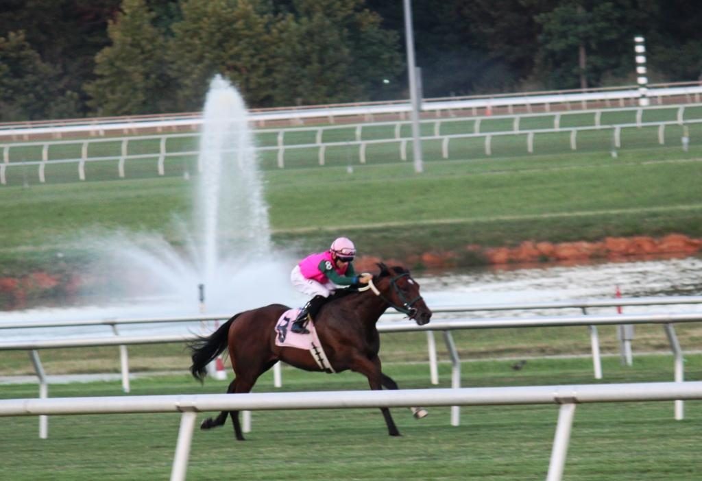 Virginia-bred Long On Value won the Jamestown Stakes at Colonial in July 2013. Photo by Nick Hahn.