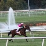 Reightler brings big, consistent group to Fasig-Tipton Mixed Sale