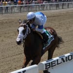 At Commonwealth Turf Festival, optimism is a horse in the starting gate