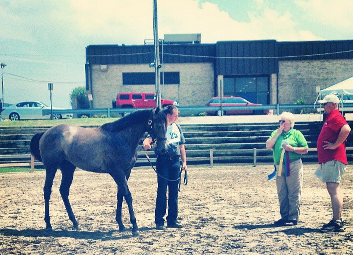 LookBack: Yearlings and retirees