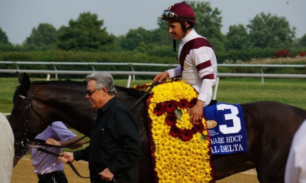 Jed Doro to be Delaware Park racing secretary