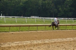 Royal Delta left 'em all in the dust.  Photo by Vas.