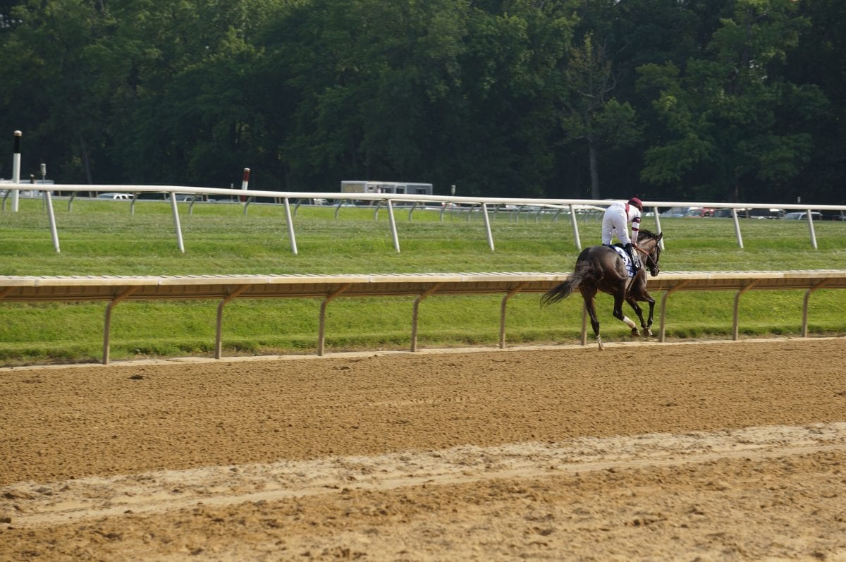 Jockey Club to support track surfaces lab