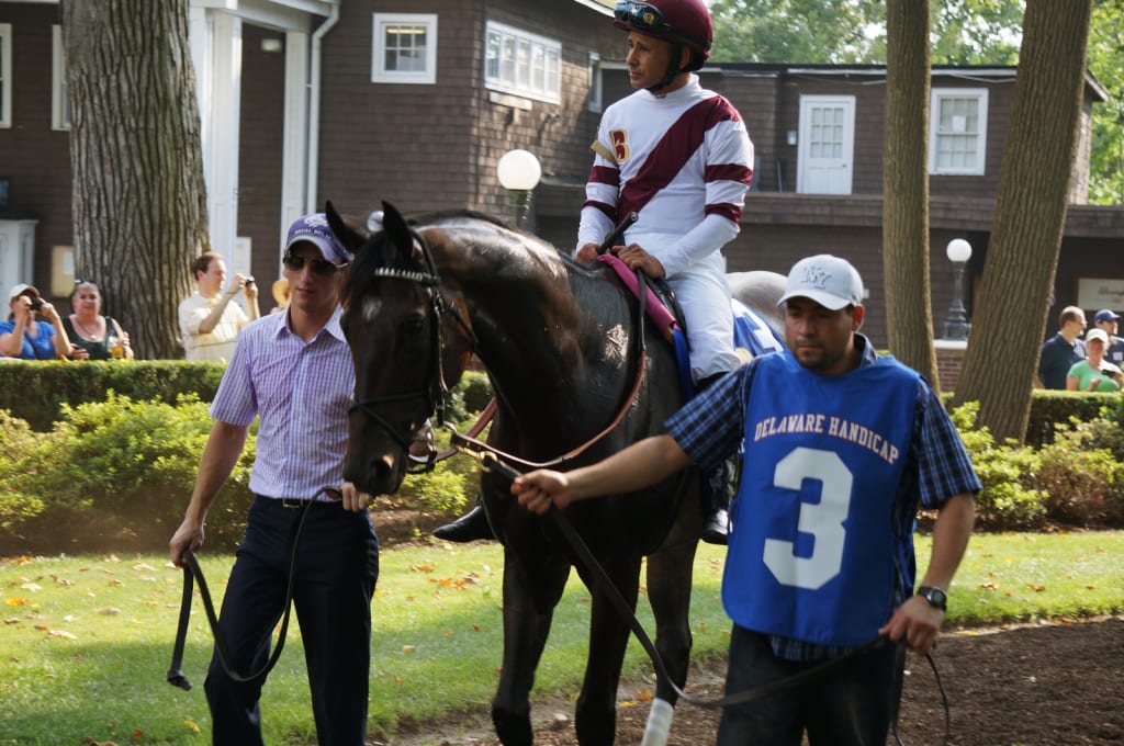 Champ leaves the paddock.  Photo by Vas.