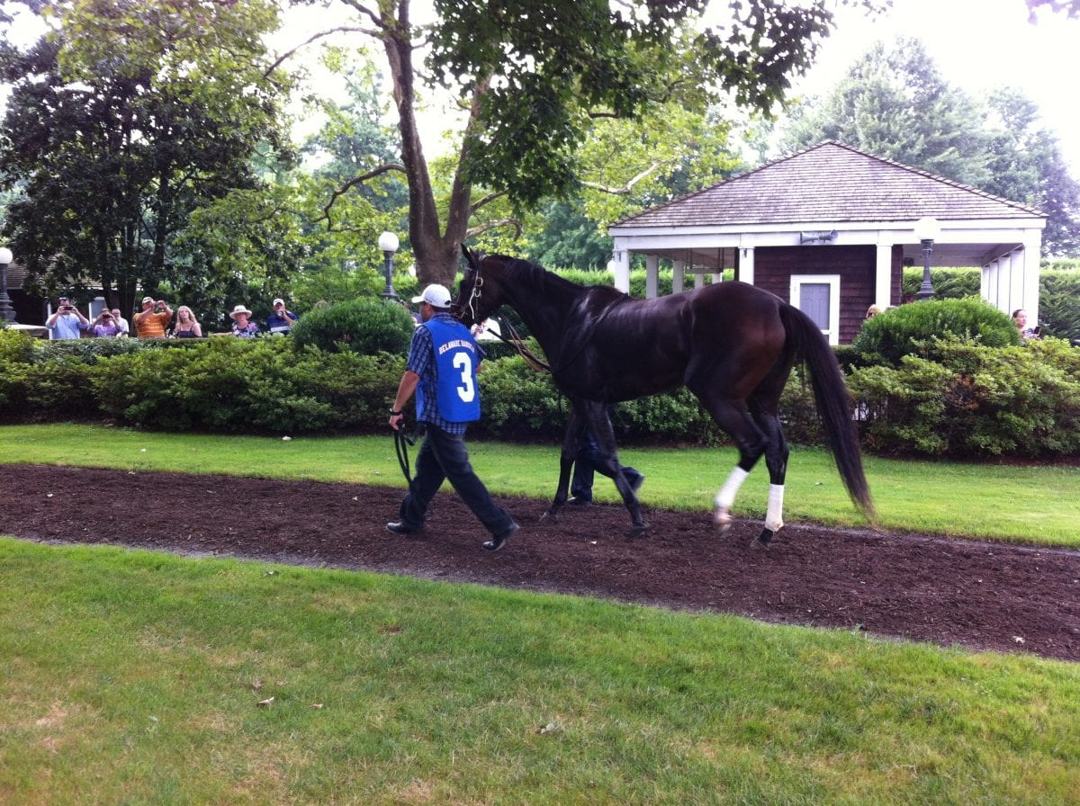 Former Delaware Park outrider Steve Kisielewski passes