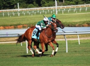 In happier days, Silvertonguedtommy wins the Chenery.  Photo by Nick Hahn.