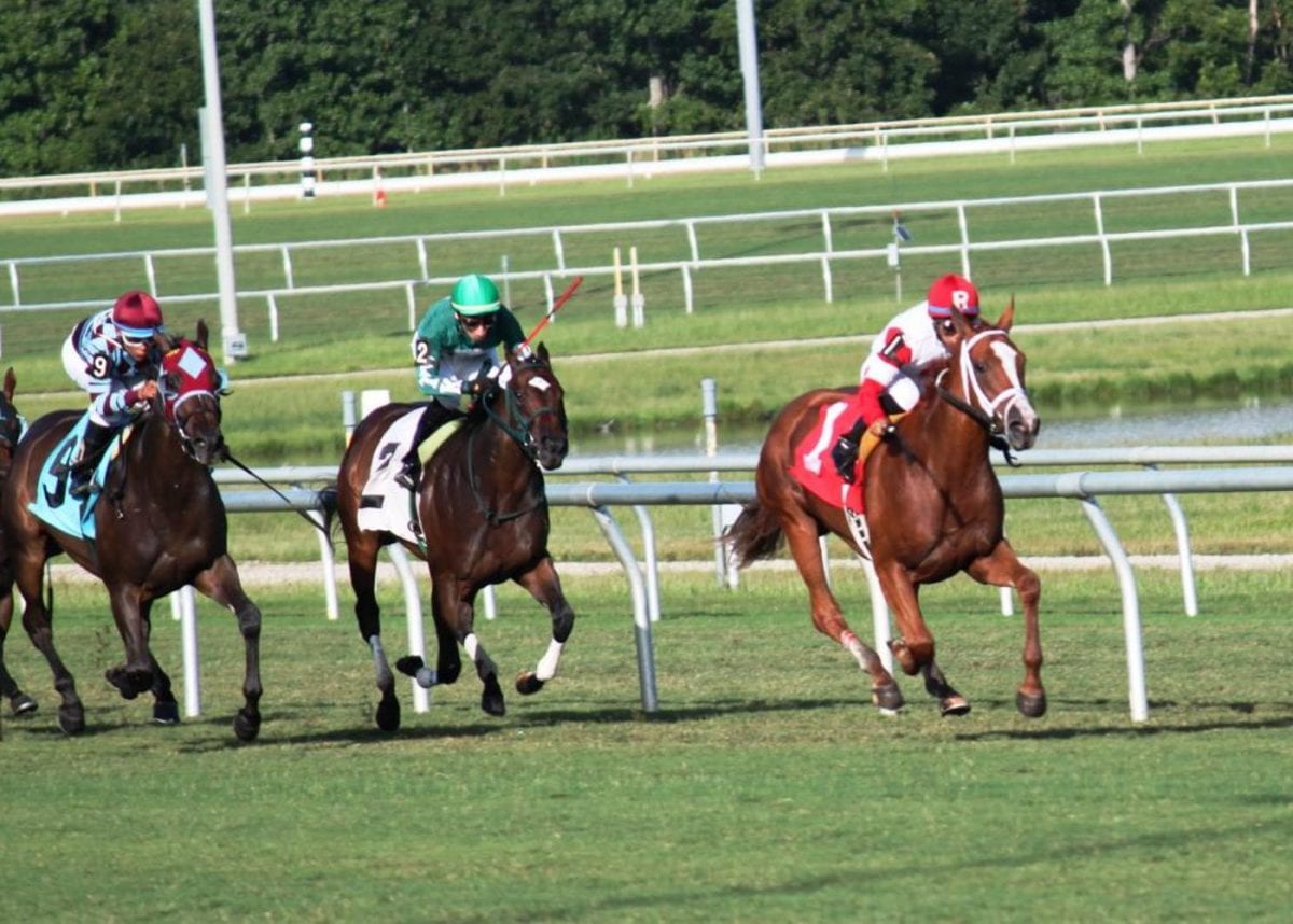 Virginia Thoroughbred Association gets back to the farm