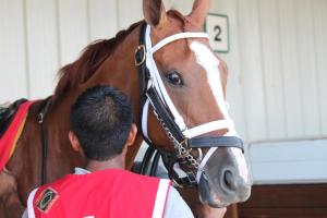 Thank You Marylou, up close and personal.  Photo by Nick Hahn.