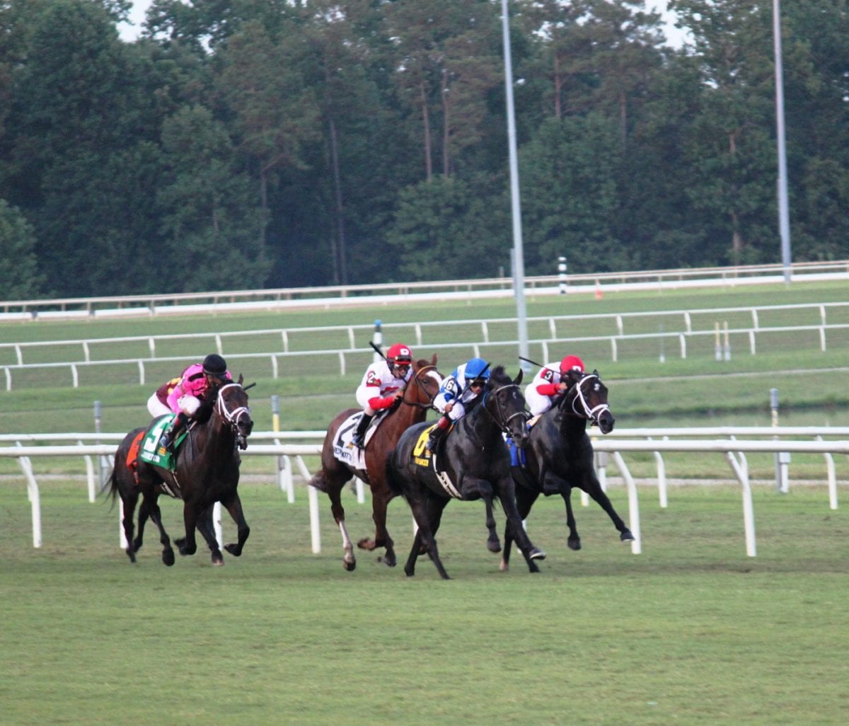 Virginia Derby contenders look to the future