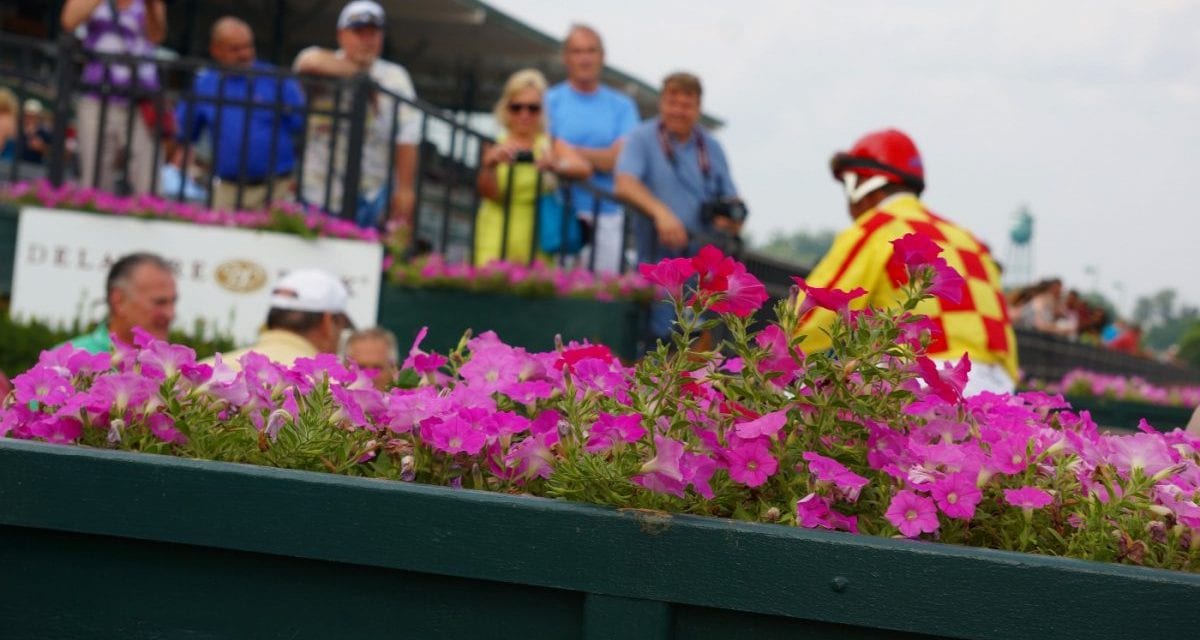 LookBack: Breezing, betting, and big races
