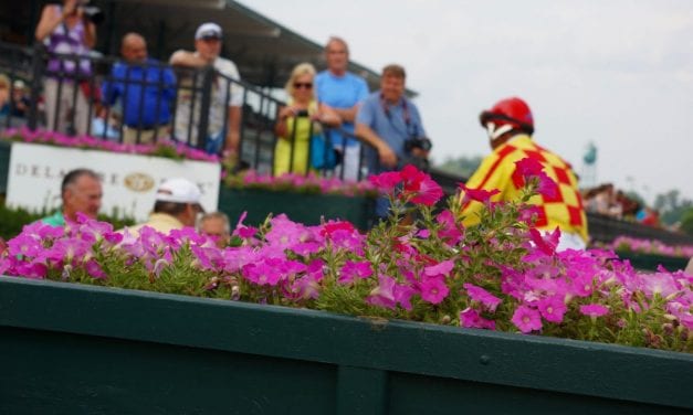 LookBack: Breezing, betting, and big races