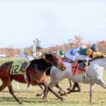 Delaware to celebrate Ramon Dominguez day