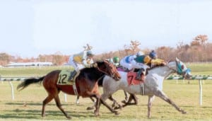 Kim's Dixie Tune, here winning in 2009, is one of many horses that have been helped by TPR.