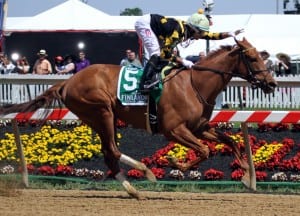 Dance to Bristol wins the Skipat at Pimlico as rider Xavier Perez exults.  Photo by Laurie Asseo.