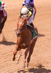 Dance to Bristol.  Photo by Jim McCue, Maryland Jockey Club.