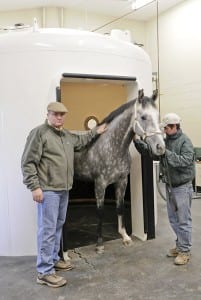 Bruce Jackson, left, escorts a horse out of the hyperbaric chamber.   Photo by Fair Hill Equine Therapy Center.