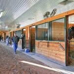 Midweek Movie: “This horse is special”